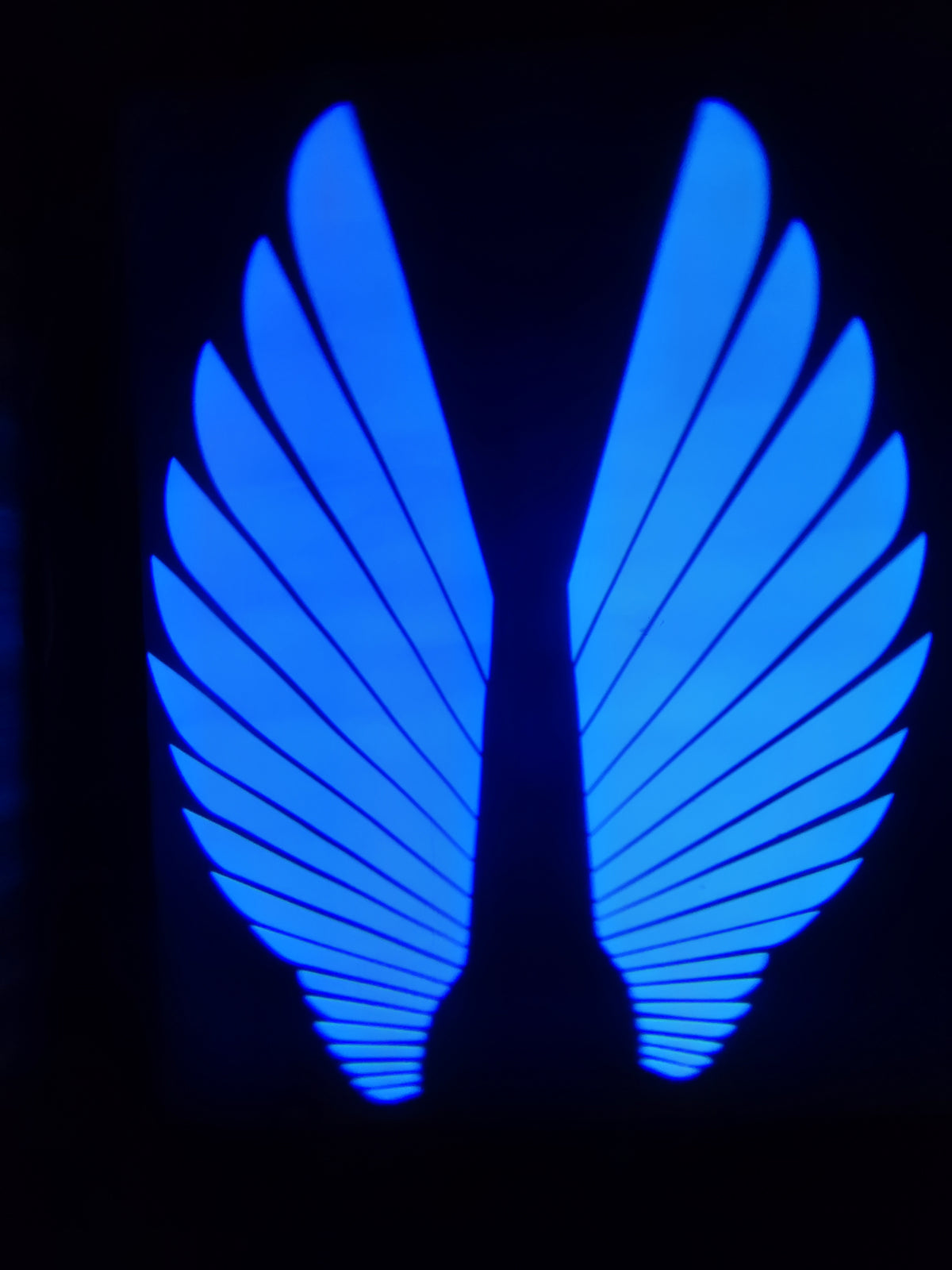 Angel Wings LED Bike Light for Motorcycles & Bikes