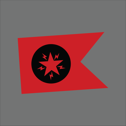 PAK ARMY FLAG - Inside Out Sticker
